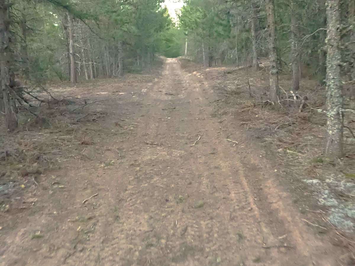  W Byrd Road photo 2