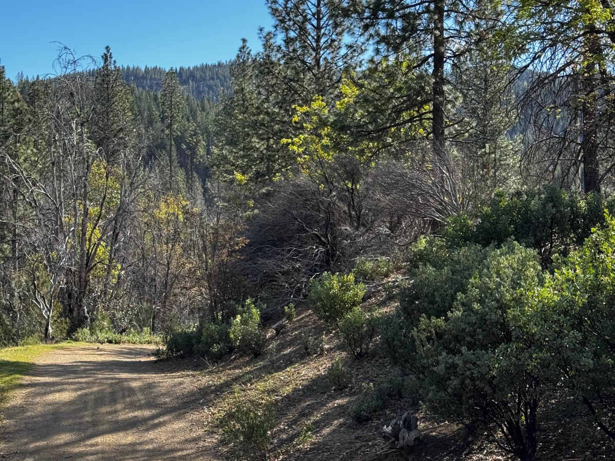 Little Round - FS 17N37 trail photo