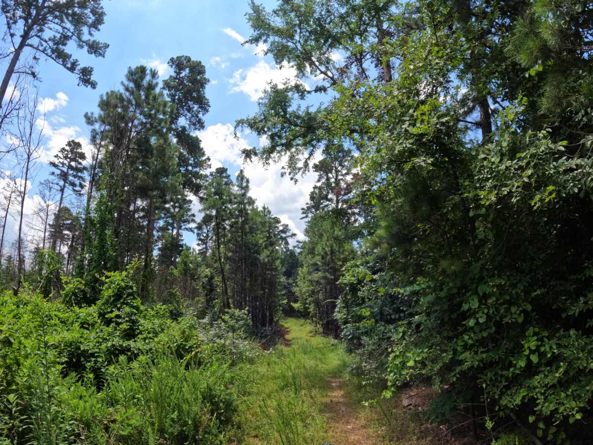 Turkey Ridge photo 5