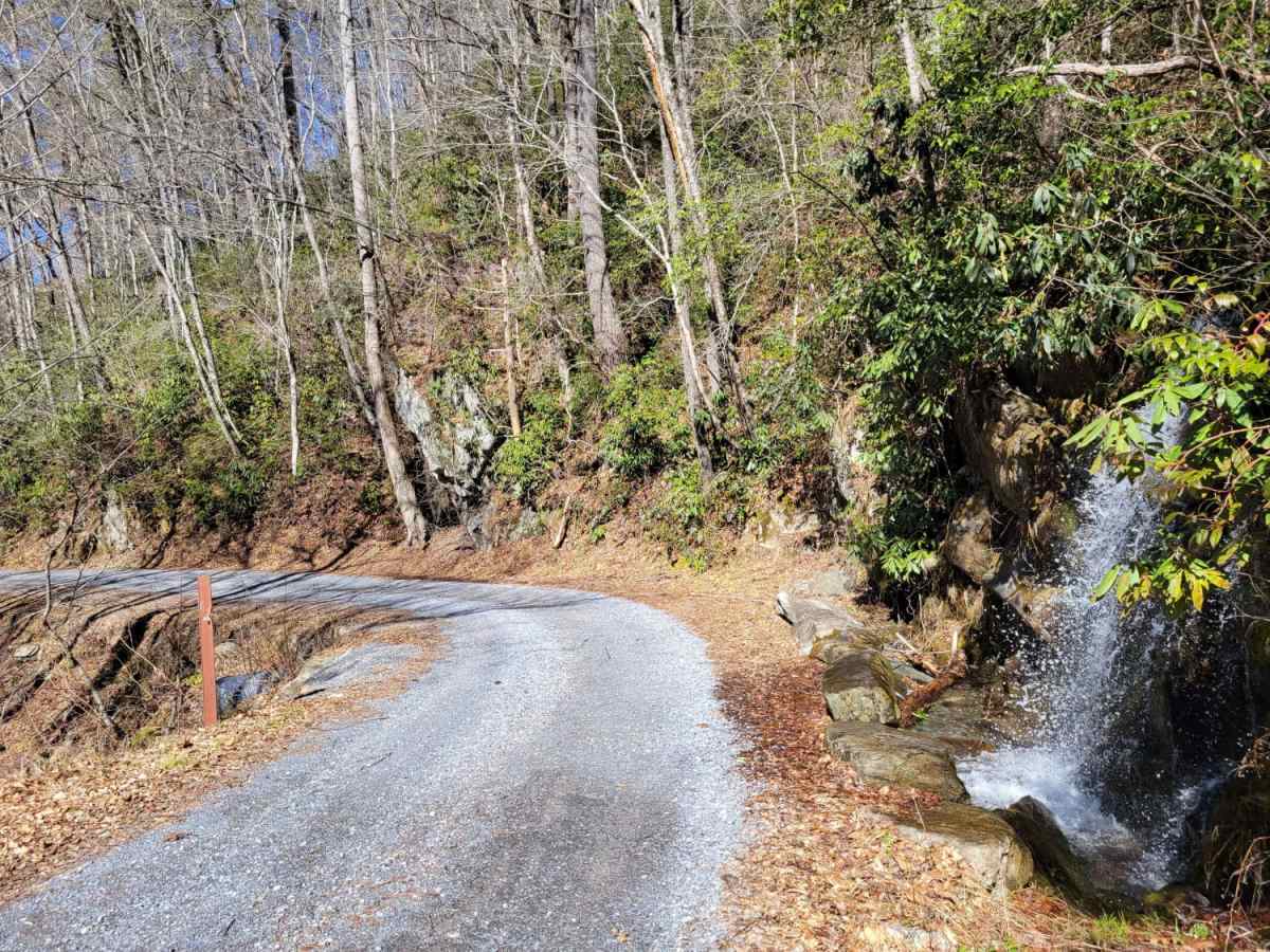 Cataloochee Turnpike to Big Creek trail photo