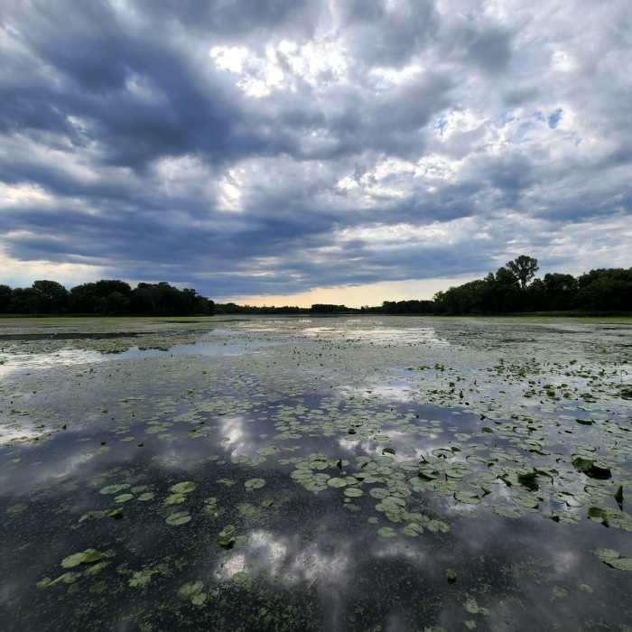 Lundtsen Lake Near Carver Park (West) Loop