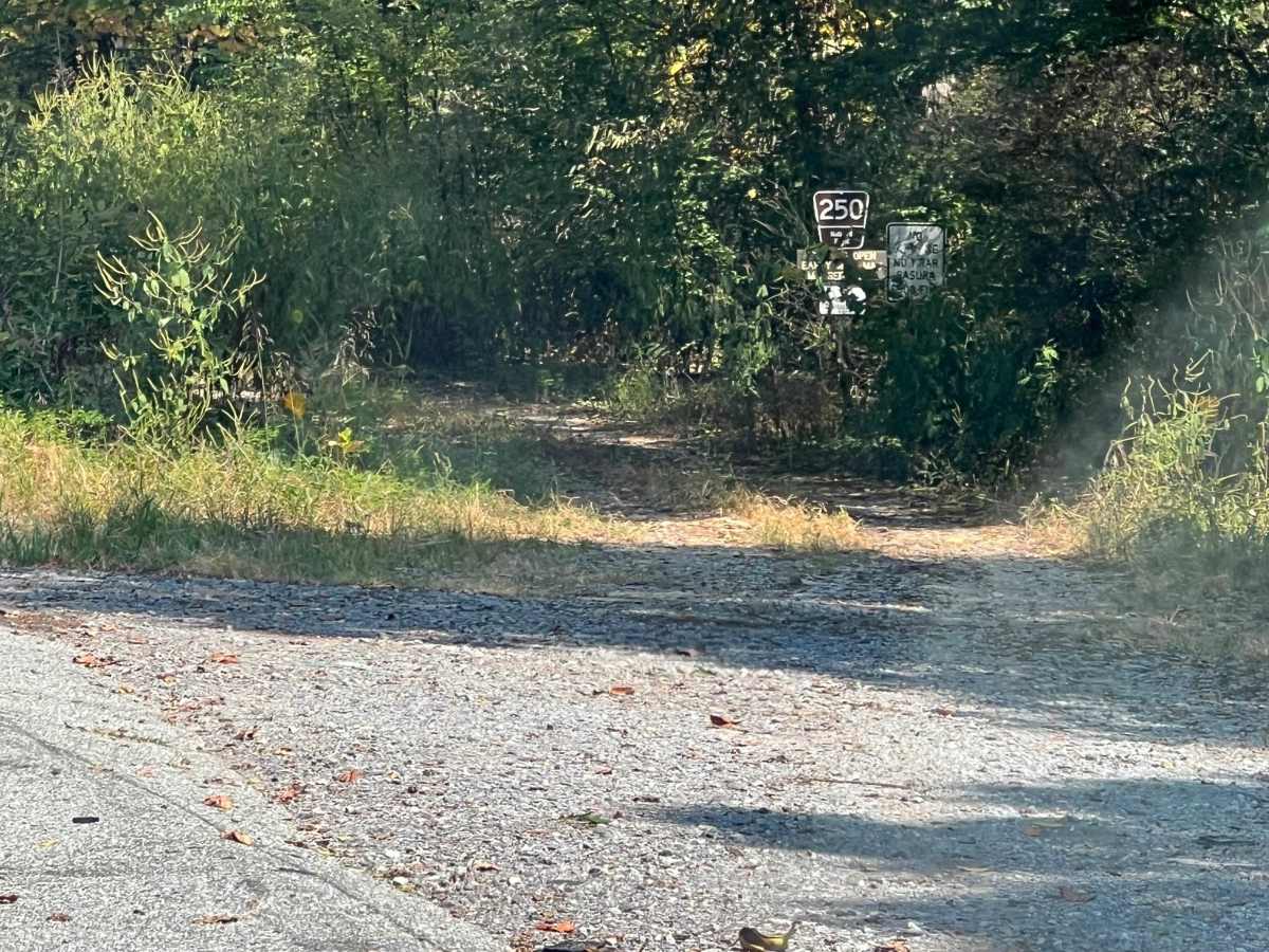 Maddox Gap - FS 250 trail photo