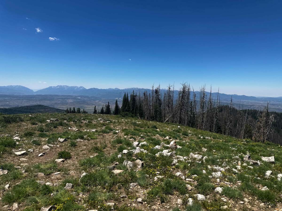 Hoyt Saddle Trail photo 4