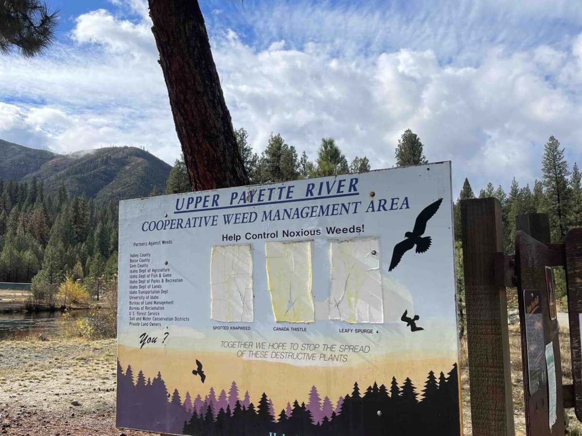7 Mile Road trail photo