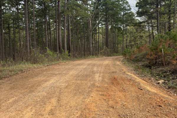 Tackett Mountain 1337