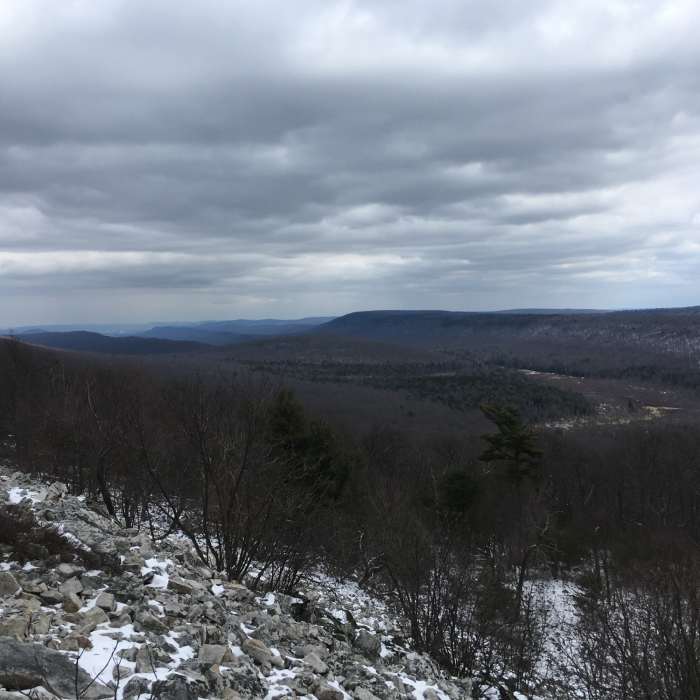 Near Bear Meadows/Mid State Trail Loop