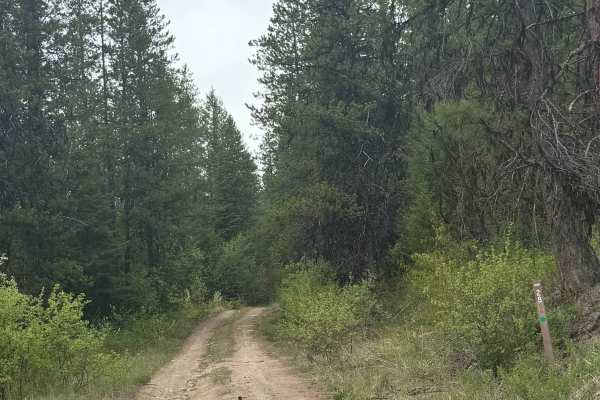 Upper Lane Creek - FS 2000-280
