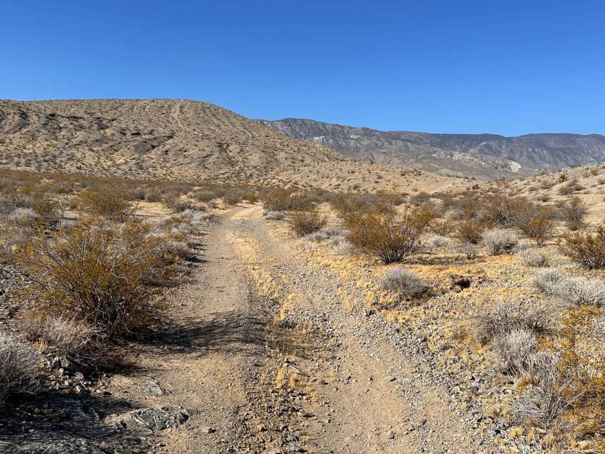 Rock Canyon Rip photo 5