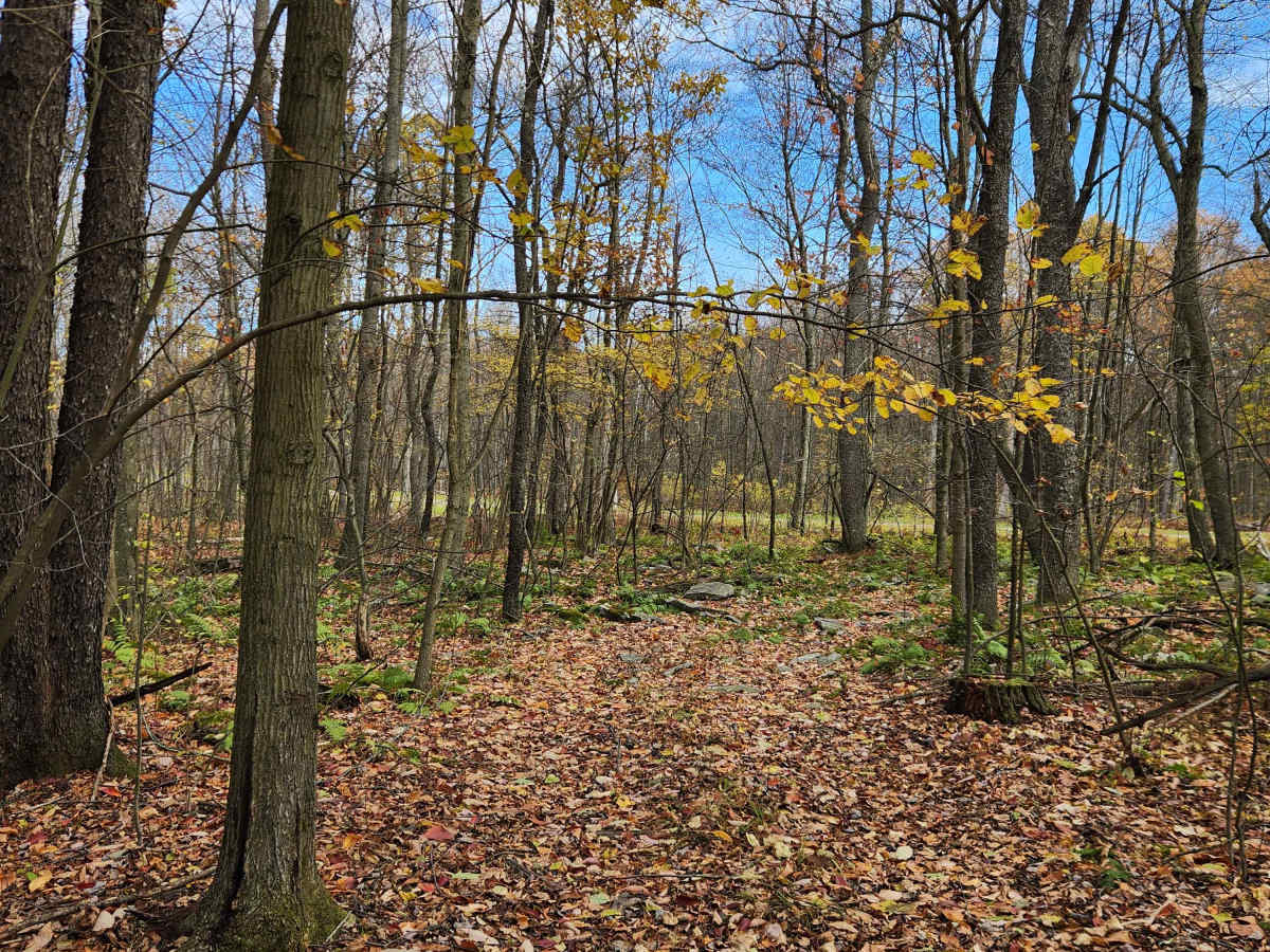 OHV 10 - Rock Run Recreation Area photo 3