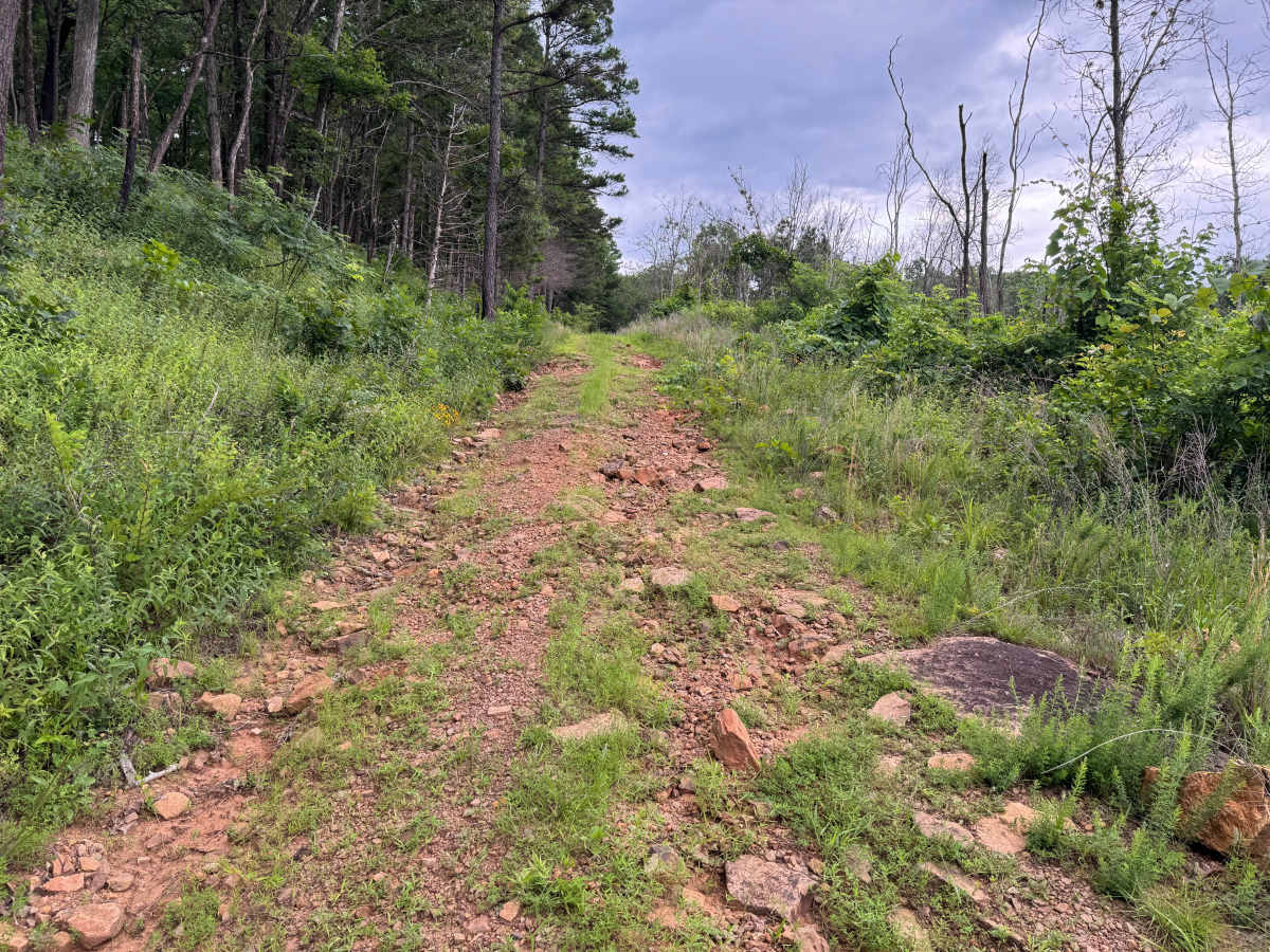 Big Flat/Butts Ridge photo 4