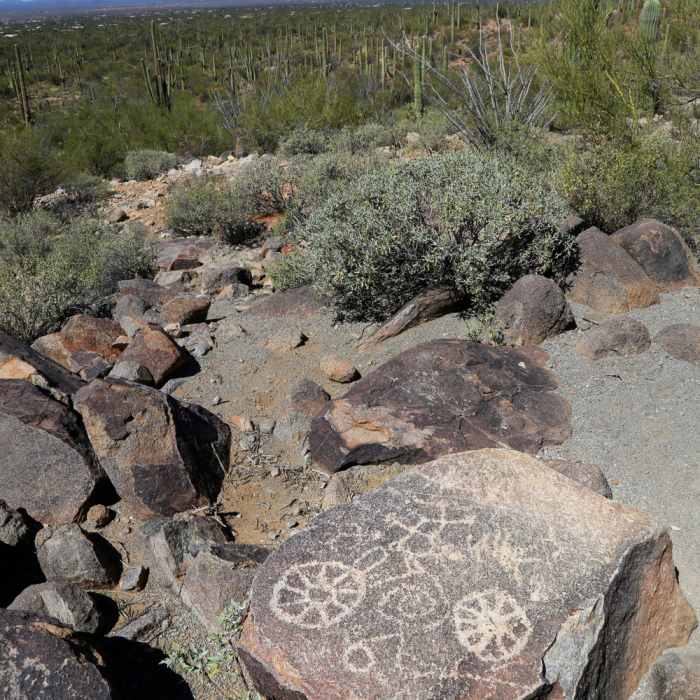 Near Cactus Wren Trail