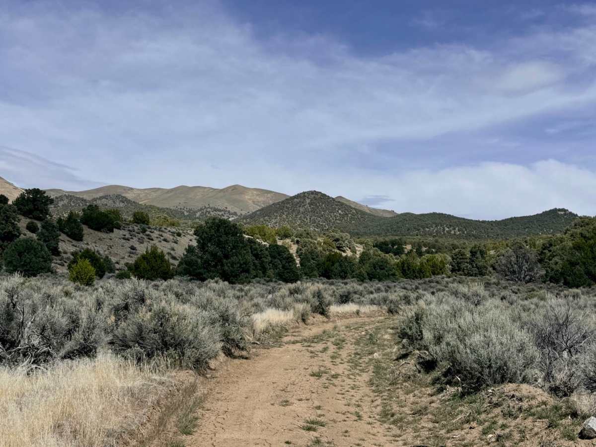 New York Canyon trail photo