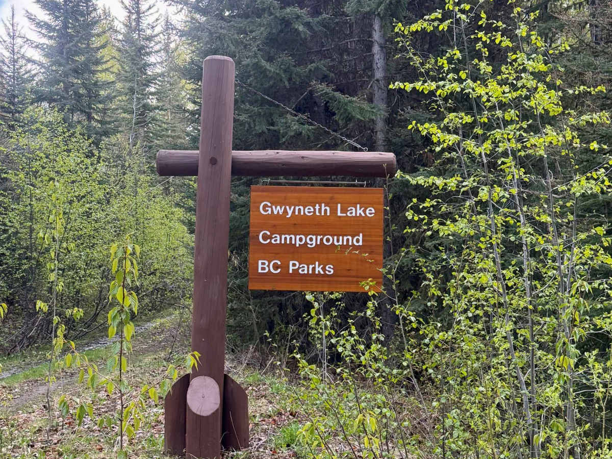 Gwyneth Lake Provincial Park trail photo