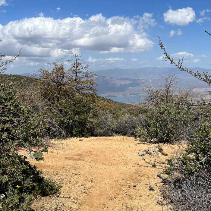 Near Four Peaks Trail #130