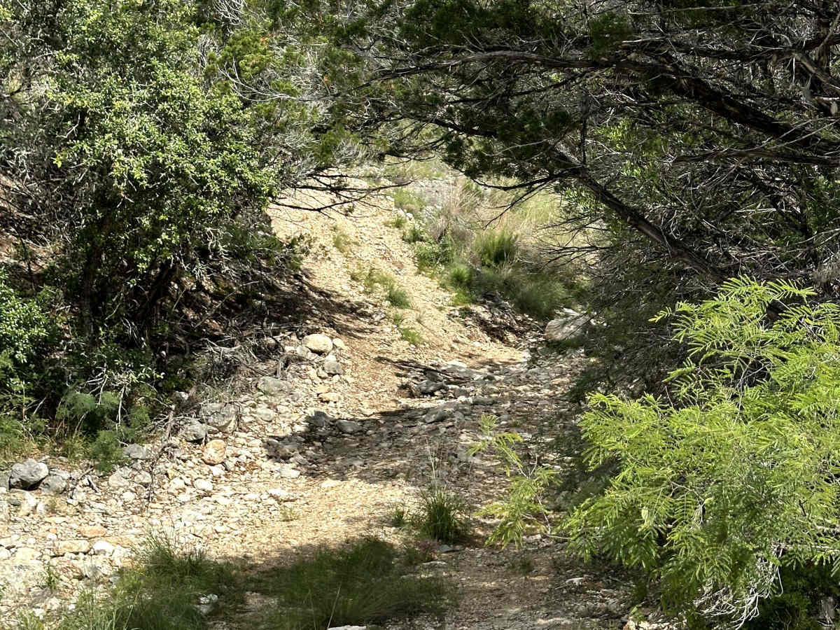 Aoudad Xing trail photo
