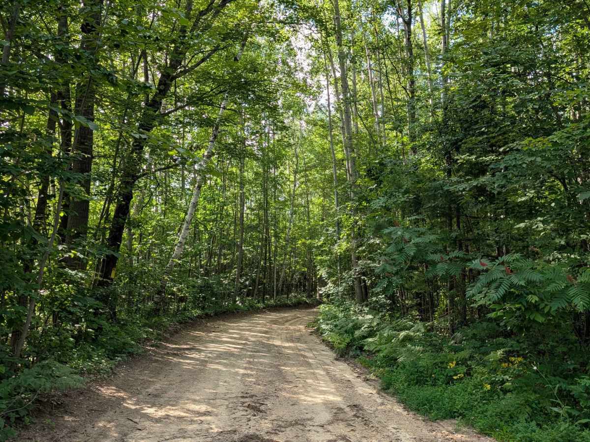 Walker Road trail photo