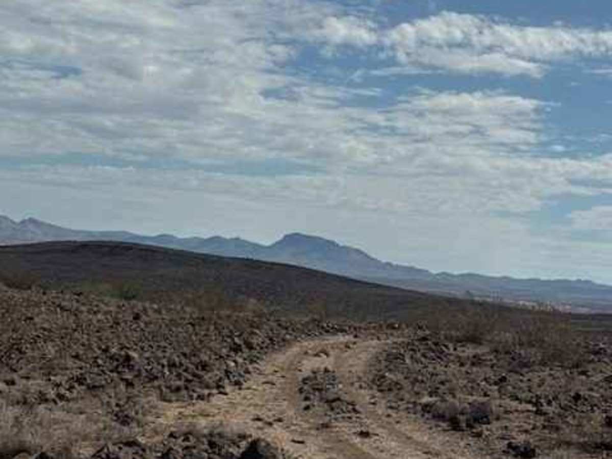 BLM PE1221 photo 4