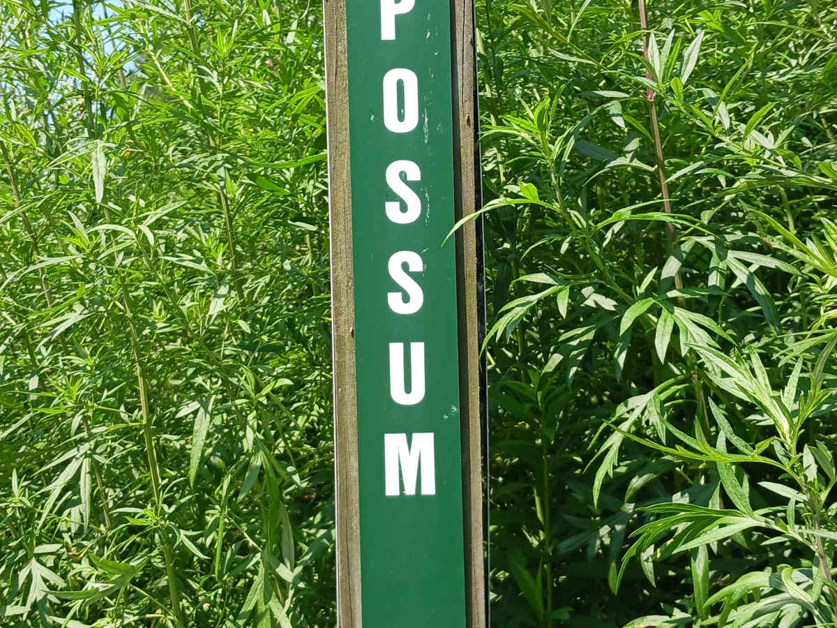 Opossum Run - Rock Run Recreation Area trail photo