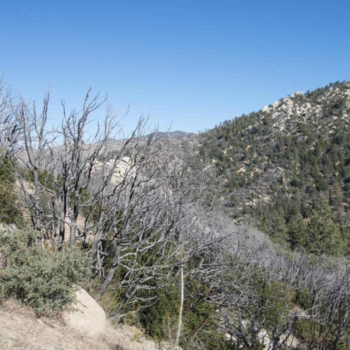 Near Three Points Ridge Hike