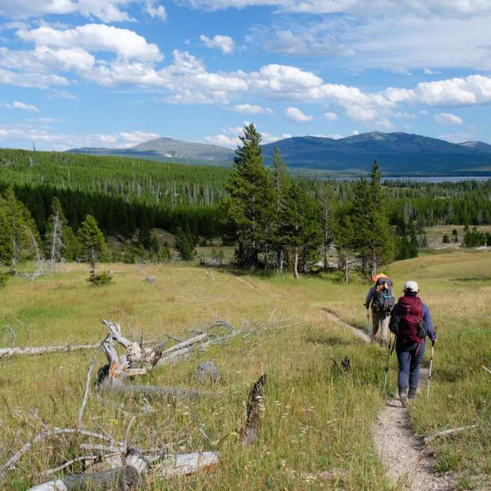 Near Heart Lake/Mt. Sheridan Near Heart Lake/Mt. Sheridan