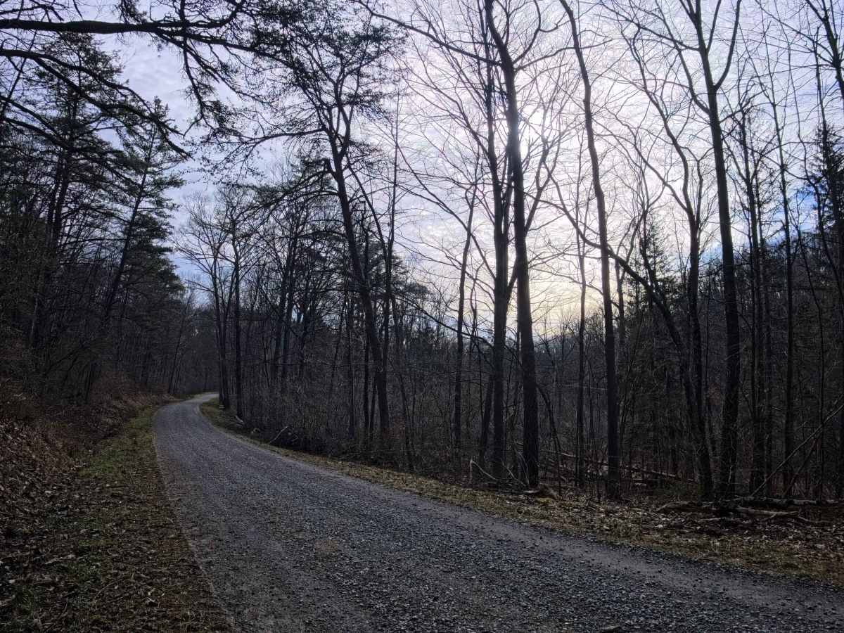 Mc Quire Road trail photo