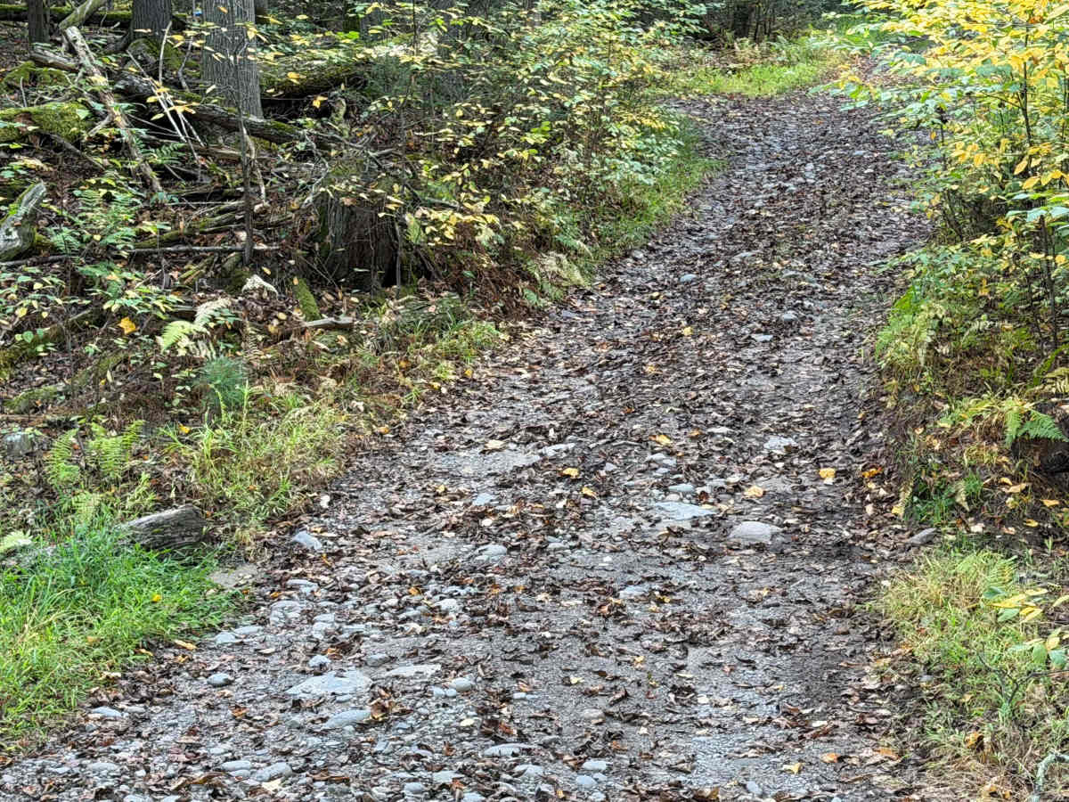 Eden Road photo 4