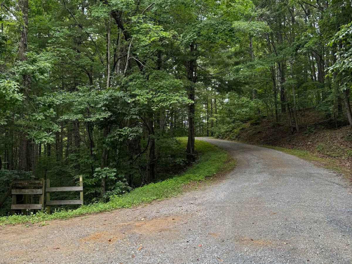Wilson Mountain trail photo