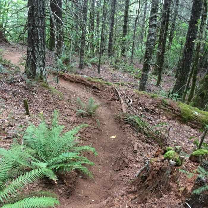 Near Oak Creek to McCulloch Peak