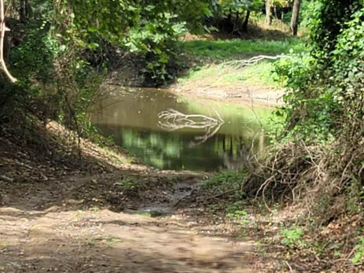 Pond Creek East Side Route photo 6