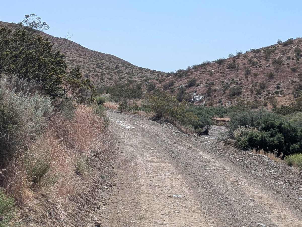 Bonanza Gulch - BLM EP15 photo 6