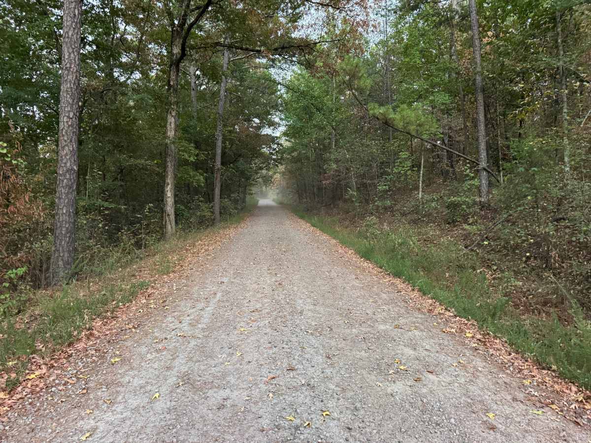 Jug Spring photo 4