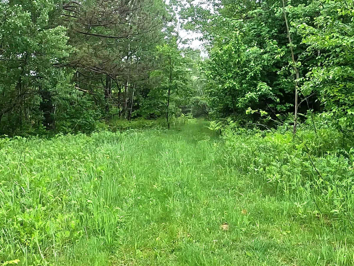ORV Route C - Champion photo 3