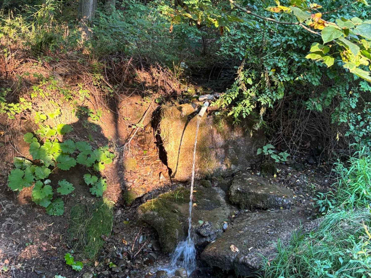 Totsline Road photo 3