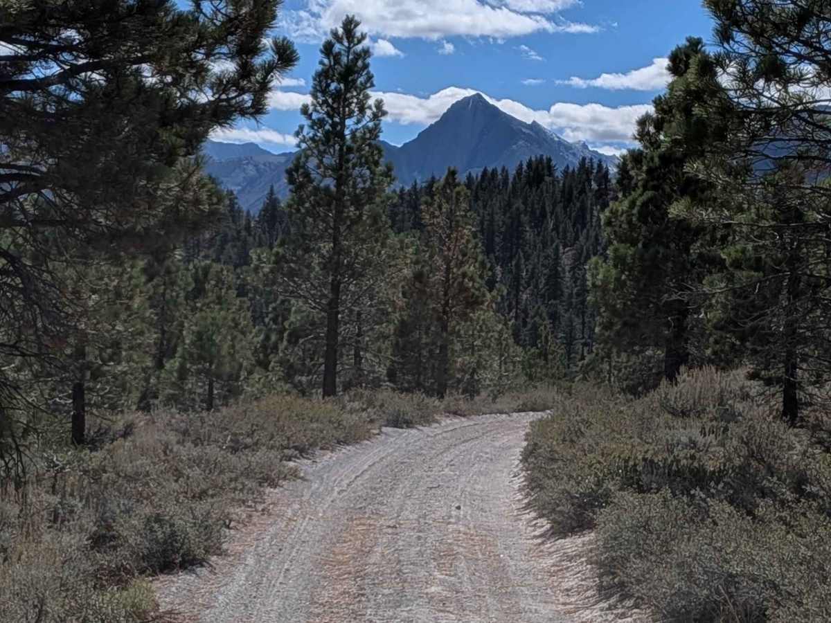 Grey Tuff Loop - FS 3S59 photo 3