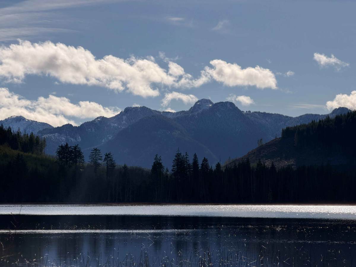 Healy lake photo 2