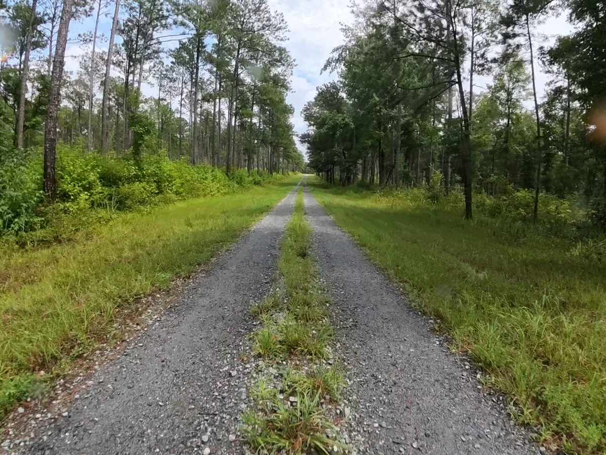 Anderson Bottoms Road photo 6