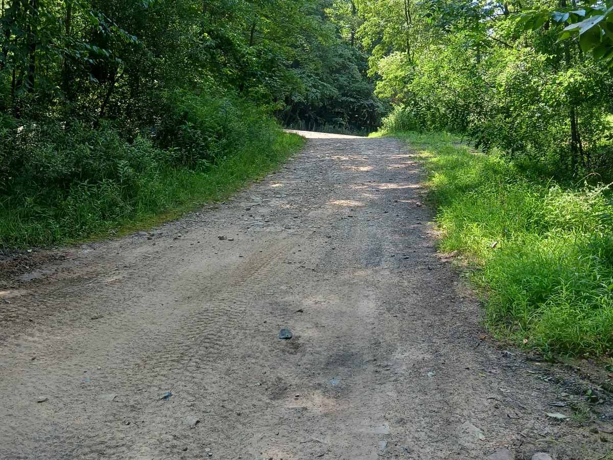 Lower Terrace Road - Rock Run Recreation Area photo 4