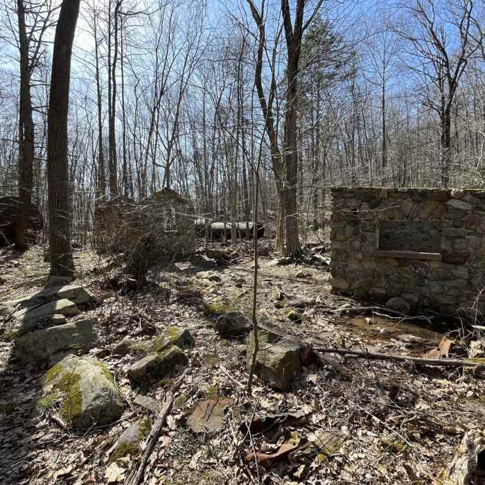 Near Apshawa Preserve Loop Near Apshawa Preserve Loop