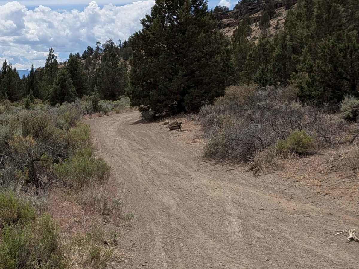 Cline Buttes OHV Trail 23 trail photo