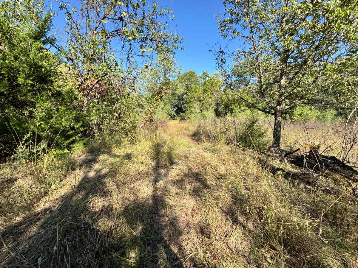 Blown Turbo Trail photo 5