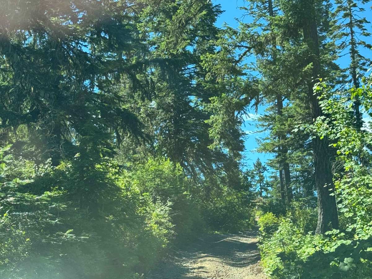 Bumblebee Peak photo 4