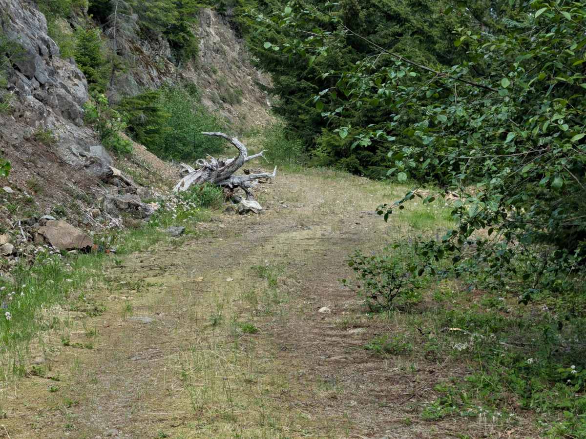 Little Creek photo 3