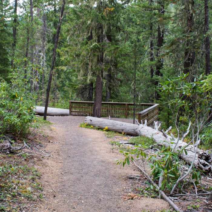 Near Warm Springs Falls