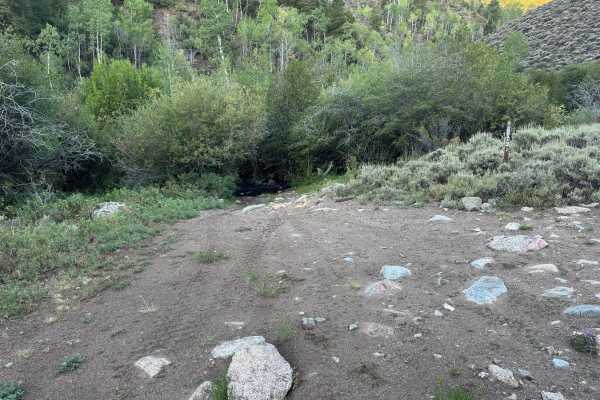 S.B Road
