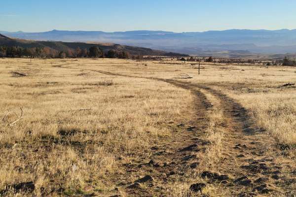 Cedar Bench Trail