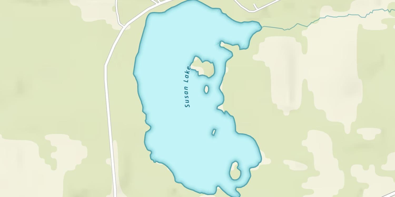 Susan Lake