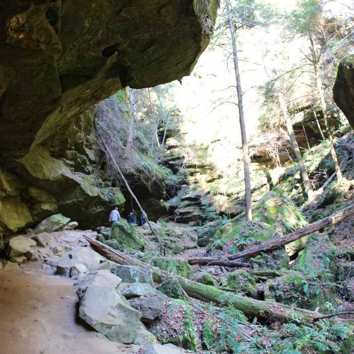 Near Conkles Hollow Gorge Trail