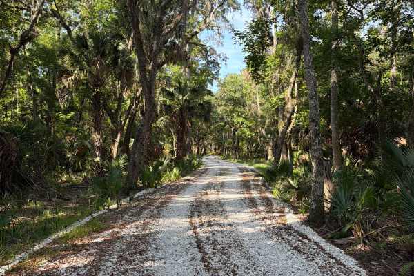 Dexter Point Road