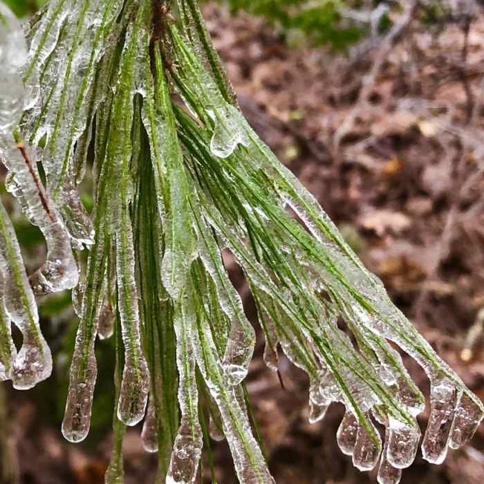 Ice at the Hike Inn Near Hike Inn Lodge Trail