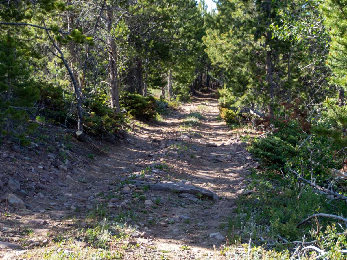 Red Mountain Lookout - FS 80132 photo 4
